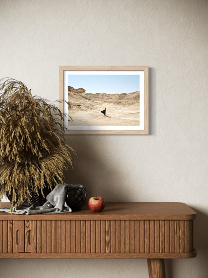 Fragile Immensité - A4