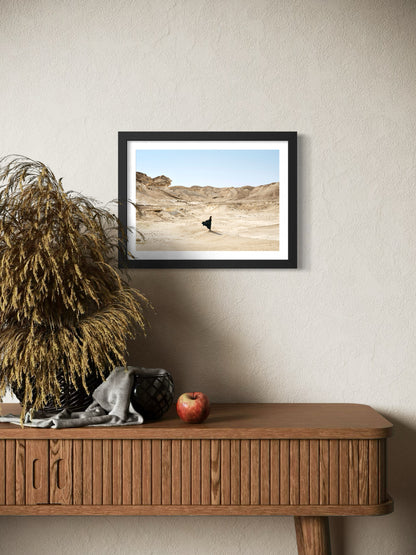 Fragile Immensité - A4