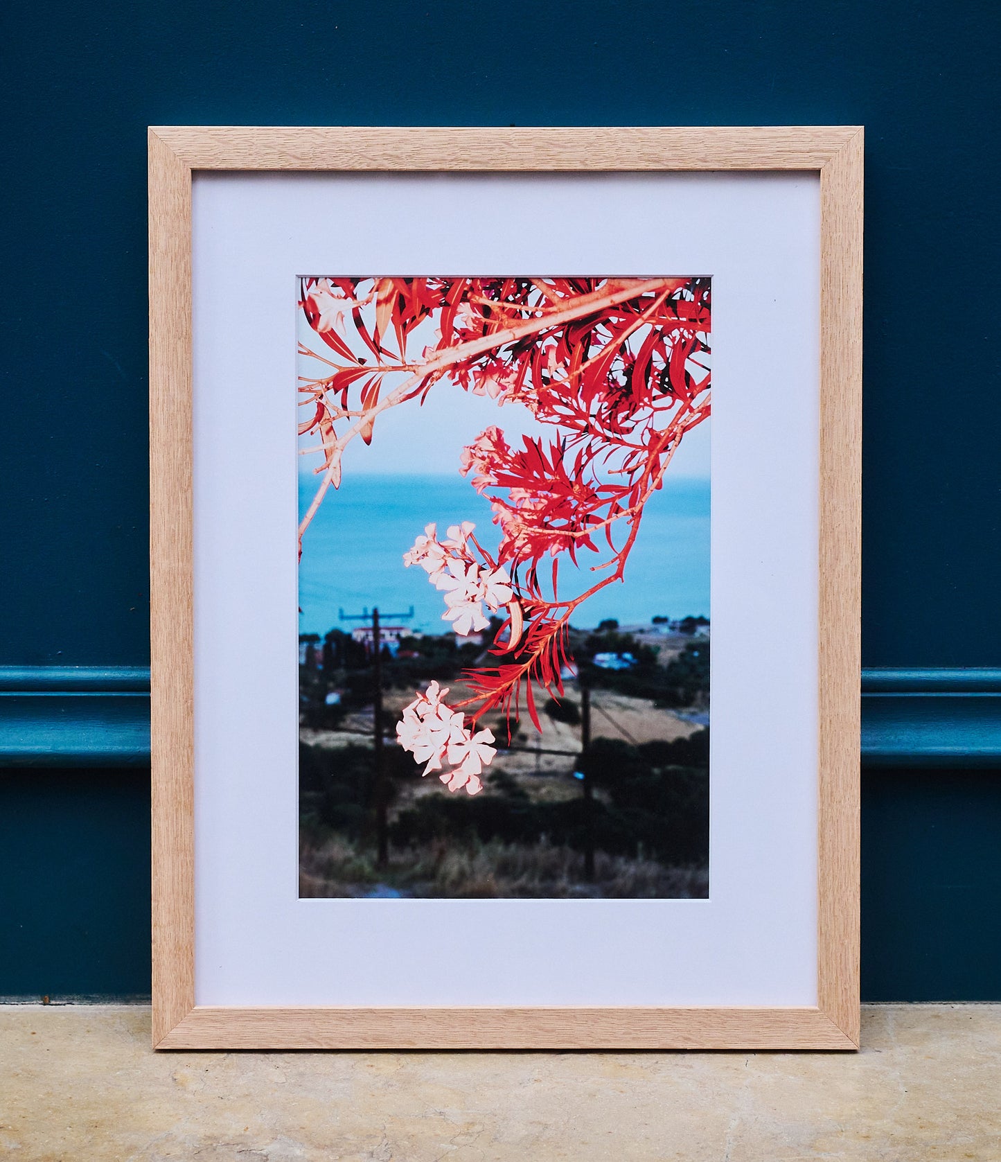 L'hommage d'Apollon, 2023