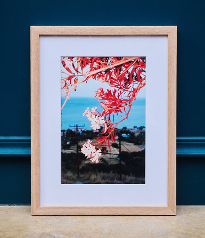 L'hommage d'Apollon, 2023