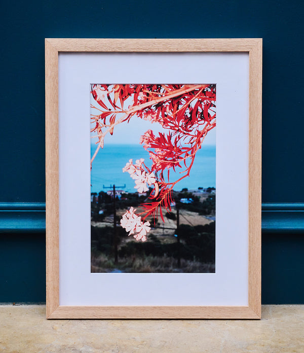 L'hommage d'Apollon, 2023