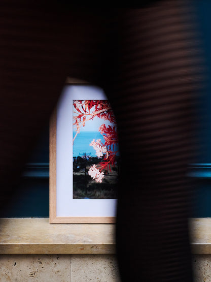 L'hommage d'Apollon, 2023