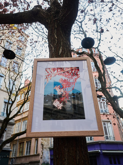 L'hommage d'Apollon, 2023