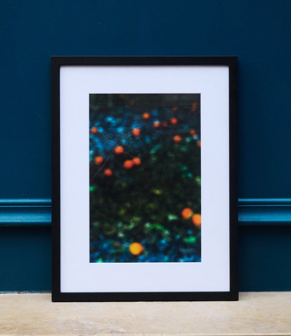 Impressions orangées, 2023